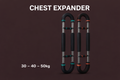 CHEST EXPANDER